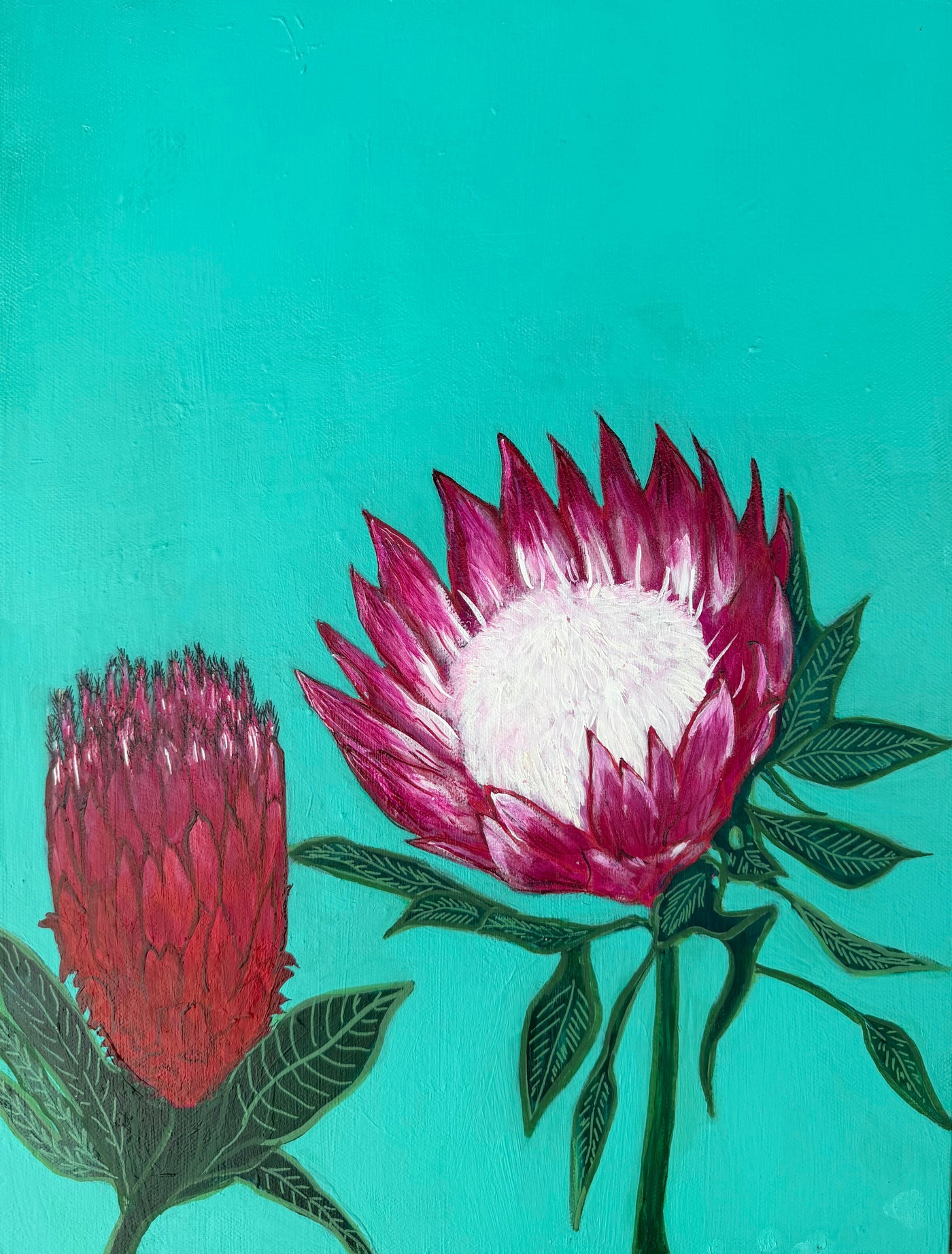 Flora
