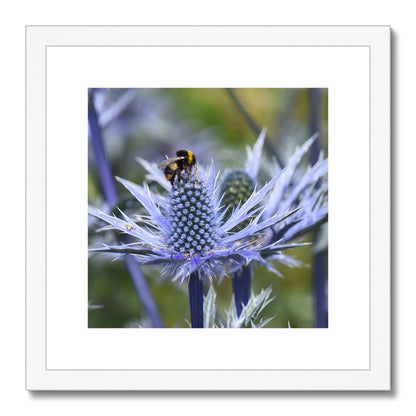 The Bumble Bee Framed & Mounted Print